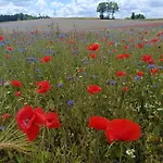 Bed & Breakfast Hubertus