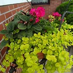 Bed & Breakfast Hubertus