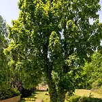Bed & Breakfast Hubertus