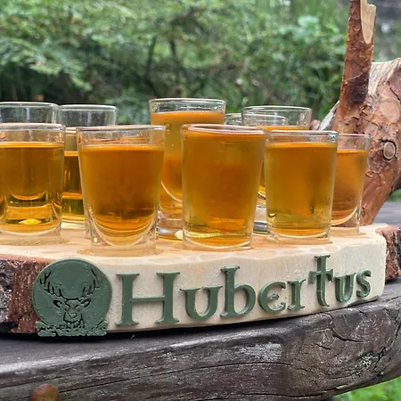 Hubertus Bed & Breakfast Kosewo (Mragowo)