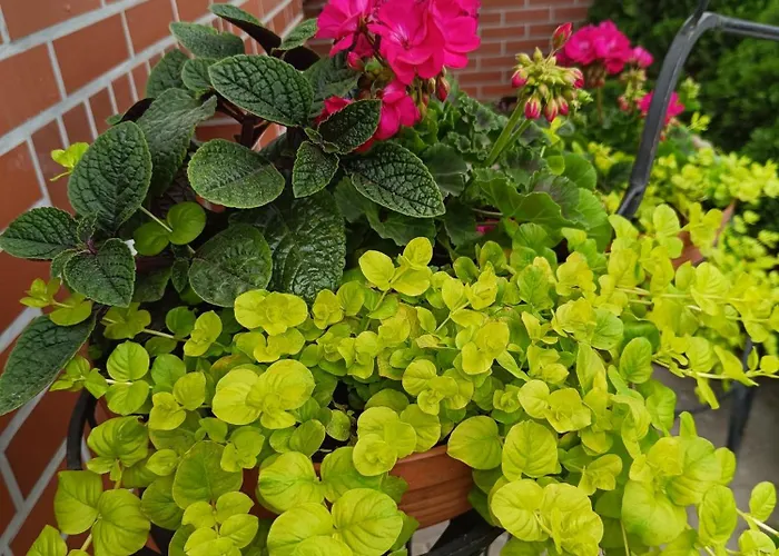 Bed & Breakfast Hubertus