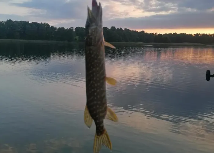 Hubertus Bed & Breakfast Kosewo (Mragowo)